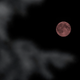 Illustration for article titled 21 Super Photos Of The Super Moon